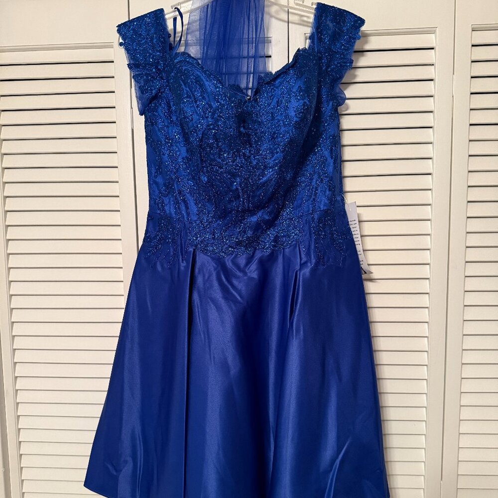 Royal Blue Party/Cocktail Dress